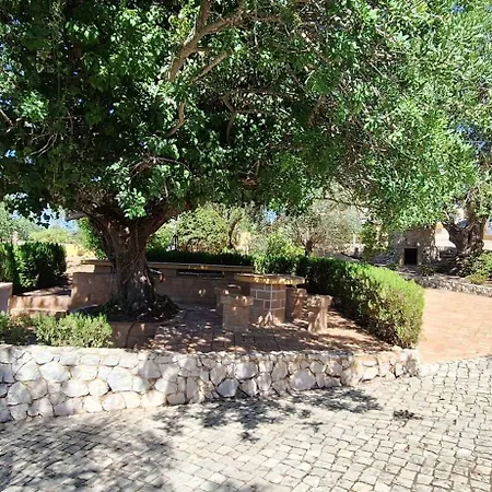 Quinta Do Moinho Novo Feriehus